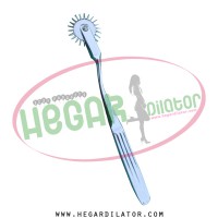 Wartenberg Pinwheel 1 Wheel